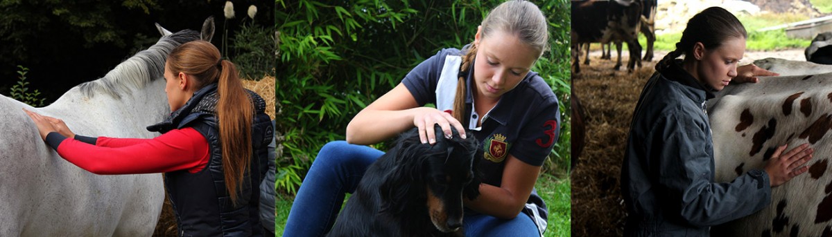 Aline Langlois est osthéopathe animalière en Seine-Maritime